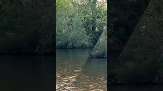 Rock Skipping Competition - Head to Head Challenge at Boise River!