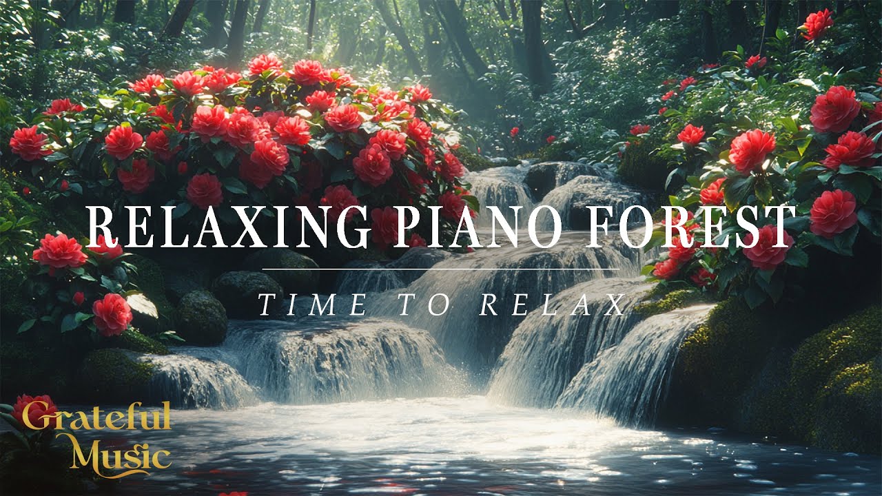 Piano The Best of Peace | 3 Hours of Calm Music for Relaxation ...