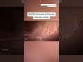 WATCH Hawaii's Kilauea volcano erupt