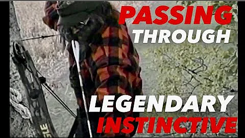 "PASSING THROUGH" A MOST Amazing Archery DEER SCEN...