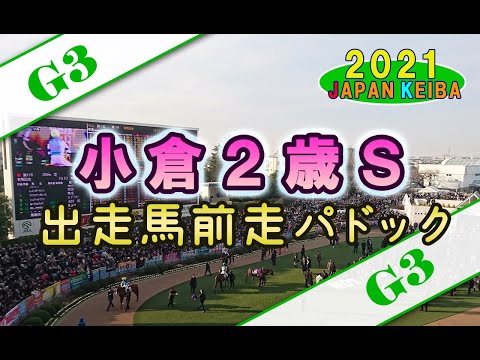【競馬パドック】小倉２歳S・前走パドック（2021年）