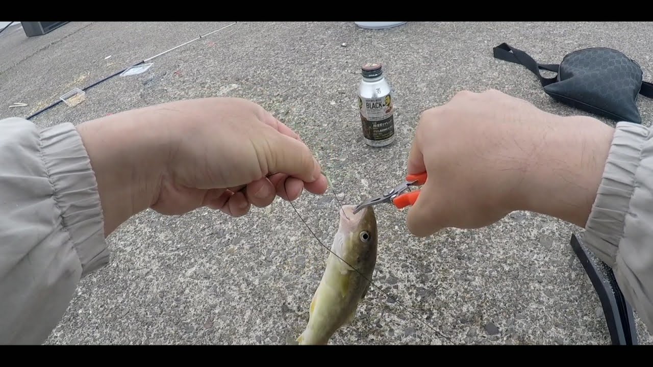 道東 コマイ釣り 21 6 Youtube