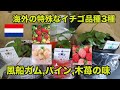 【家庭菜園のいちご】海外の特殊ないちご三品種の苗を入手したので調べてみた