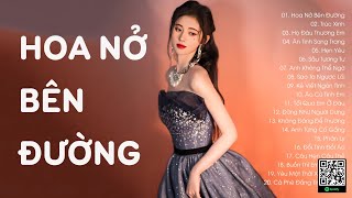 Hoa Nở Bên Đường, Trúc Xinh, Họ Đâu Thương Em,...Nhạc Buồn Tâm Trạng Cho Người Cô Đơn Thất Tình