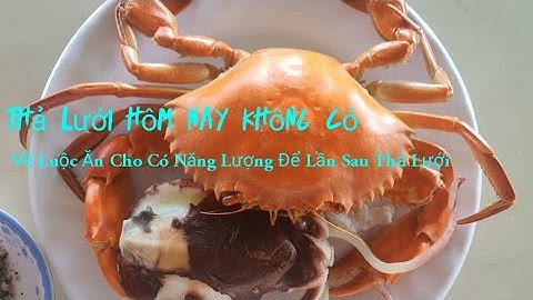 Biển Động Thả Lưới Không Có Cá