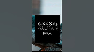 انما أمره إذا أراد شيئاً أن يقول له كن فيكون...من سورة يس #اكسبلور #دويتو #اهميه #تيك_توك #الظروف #ل