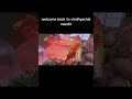 vindhyachal mandir khatarnak video mari mara video #vindhyachal #god