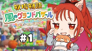 ラトナ・プティの配信のサムネイル画像