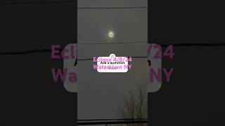 My stray cat Hobo didn’t know what think ❤️🙏😇 Solar Eclipse 24 Watertown Ny Near Thompson Park