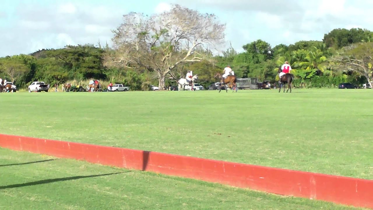Polo Barbados 2012 Holders YouTube