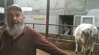 Köy Hayatının Zorlukları L Şeref Abinin Şehirden Köye Göç Hikayesi 1 Öy Öyhayatı