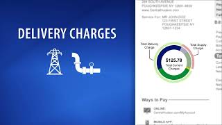 Why Are My Delivery Charges Higher Than My Supply Charges?