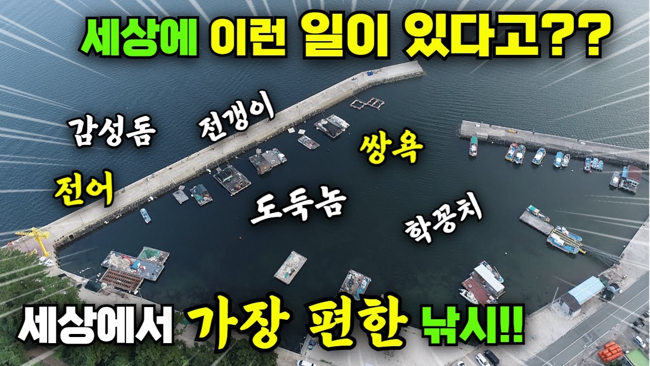 살다살다 세상에 이런일이 있다고?? 거제도 앞바다 방파제 주차하고 바로 세상에서 가장 편한 낚시! 전어