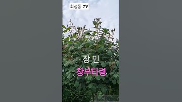 Thumbnail of #창부타령 #장민