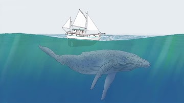 Panning & transparency animation using Clip Studio Paint EX, Moho, and Luma Fusion 2.0.