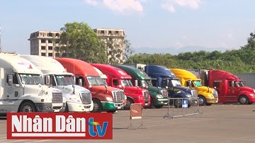 Gần 6,5 nghìn tấn quả vải xuất khẩu qua cửa khẩu Kim Thành