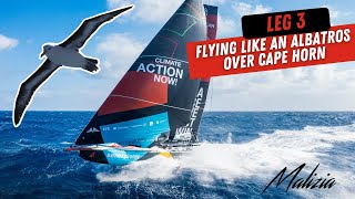 🦅 Flying like an Albatros Over Cape Horn - Day 28 - Leg 3 - The Ocean Race