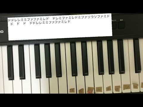 かえるの歌ピアノ🎹かんたん