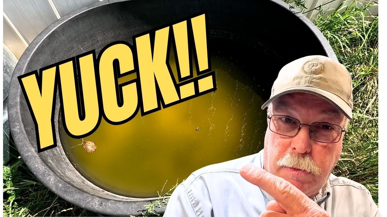 Keep Water Trough, Stock Tank, Clean