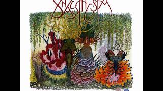 Synaesthesia - Time, Tension & Intervention (album Synaesthesia 2014) [High Quality]