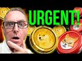 Dogecoin shiba inu  urgent breaking news now