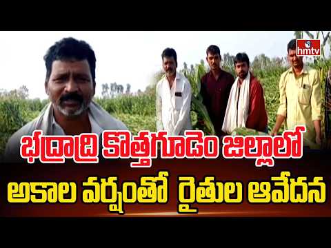 భద్రాద్రి కొత్తగూడెం జిల్లాలో అకాల వర్షంతో రైతుల ఆవేదన | Bhadradri Kothagudem District | hmtv