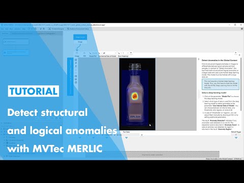 Global Context Anomaly Detection with MVTec MERLIC