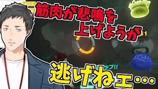 社築、Youtube、ライブ、live、ユーチューブ