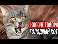 КОРОЧЕ ГОВОРЯ Я ГОЛОДНЫЙ КОТ МАКС (от первого лица)