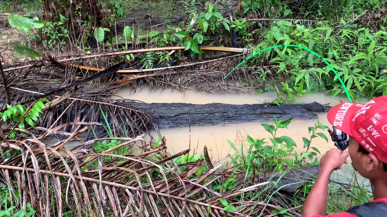 Mancing lele lokal.!!! Ternyata sungai sepeti ini banyak ikan lele nya