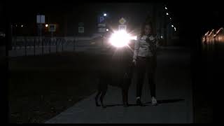 bmcc 4k + helios 44-2 in night