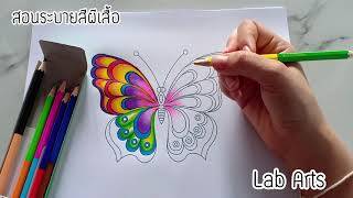สอนระบายสีผีเสื้อ ด้วยสีไม้ ให้สวยงาม How to Paint FOR BEGINNERS Butterfly