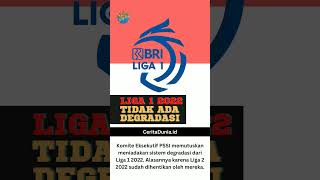 Liga 1 Tanpa Degradasi #indonesia #pssi #shorts