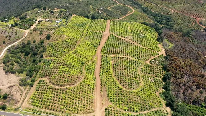 534.4 Acres on Calle Uva in Temecula