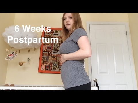 6 Weeks Postpartum - Bleeding, Blood Sugars, &amp; Belly Shot ...