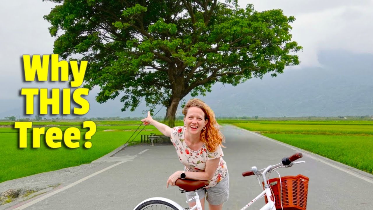 Истории знаменитых велосипедных дорожек Чишана