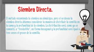 Agricultura biointensiva, Javier Rosas 2°B 102