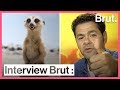 Interview brut  jamel debbouze la voix de timon dans le roi lion