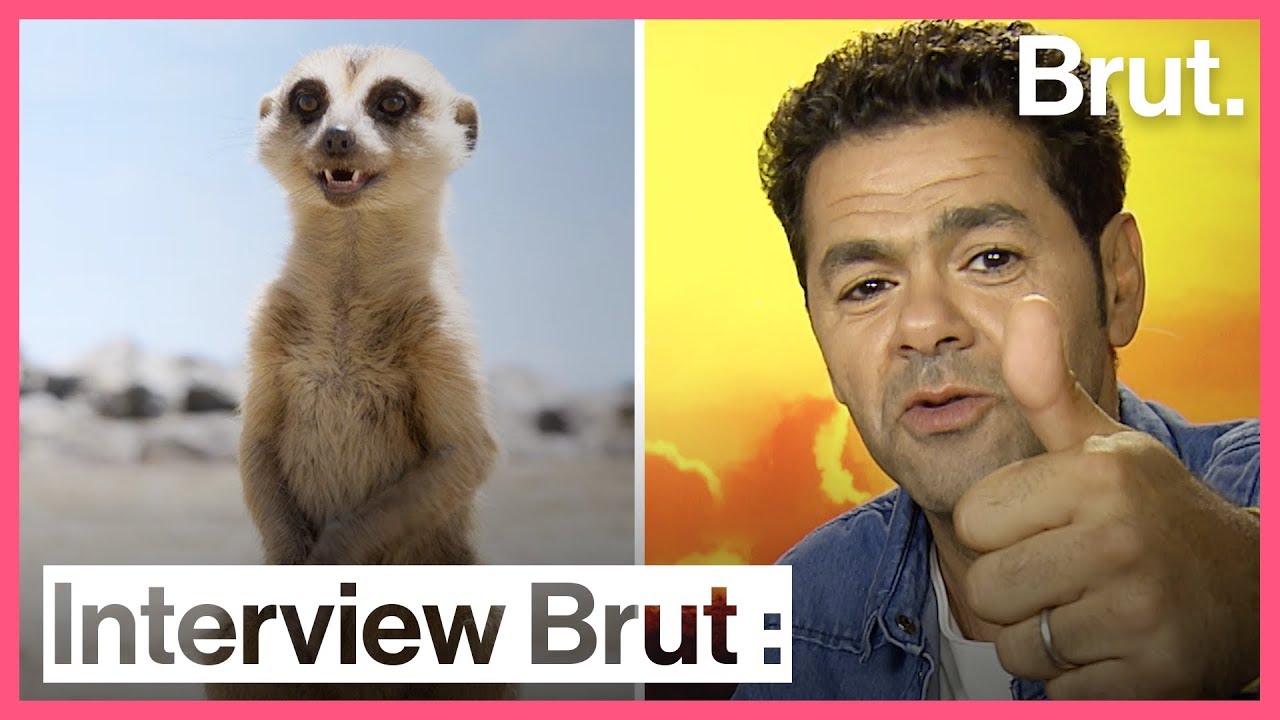 Voix Du Film Le Roi Lion 2019