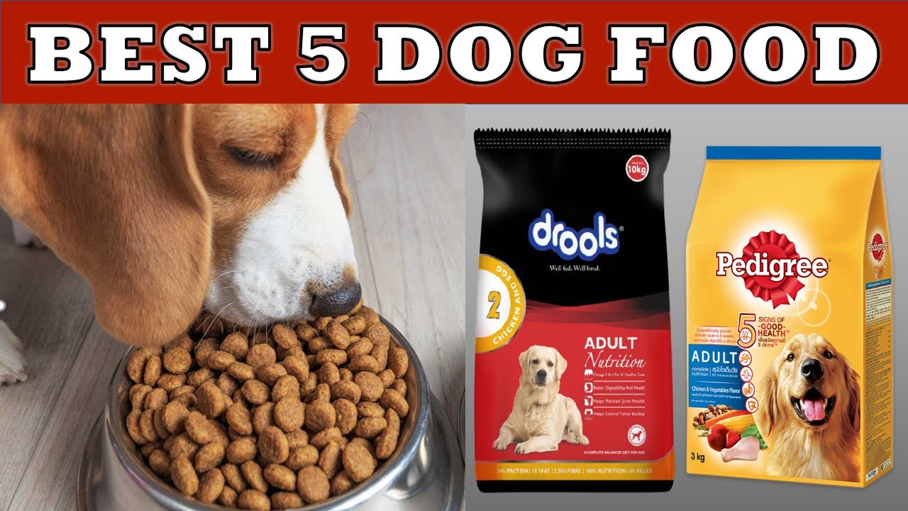 Best 5 Dog Food in India 2024