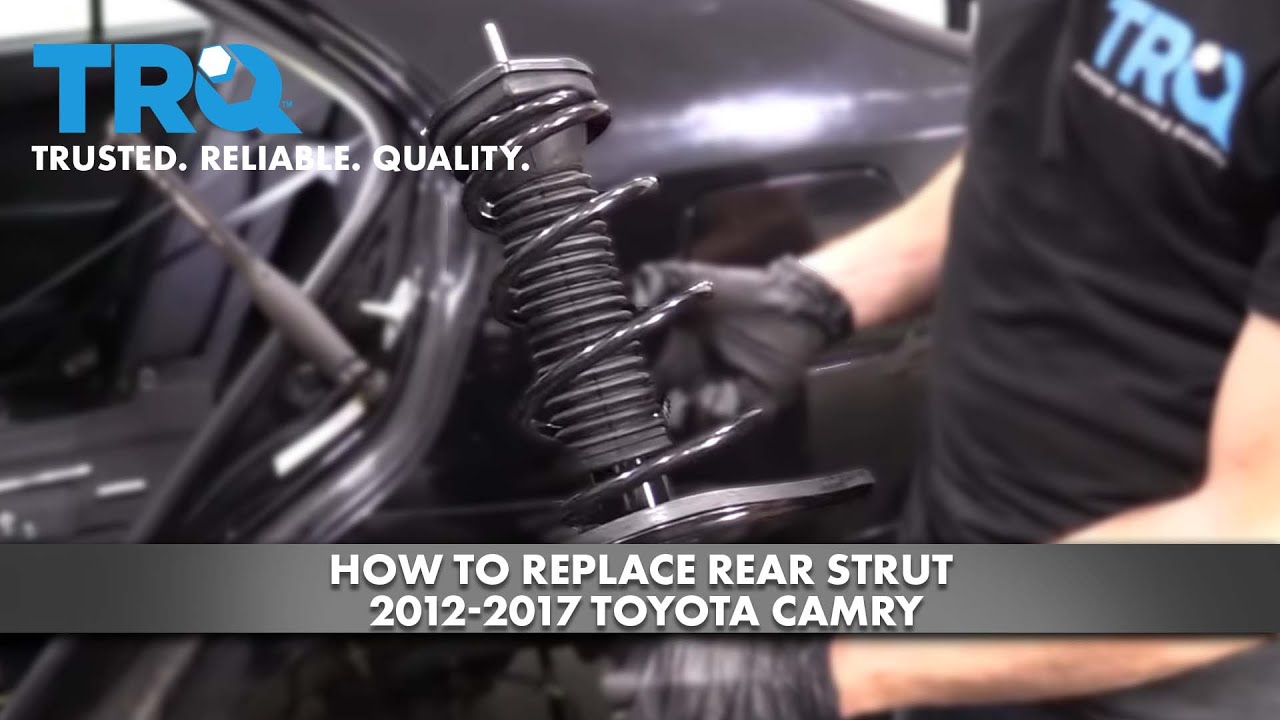 Rear Struts For 2003 Toyota Camry