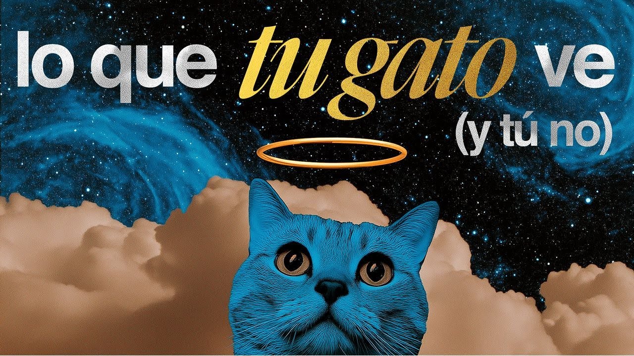 Significado ESPIRITUAL de los GATOS