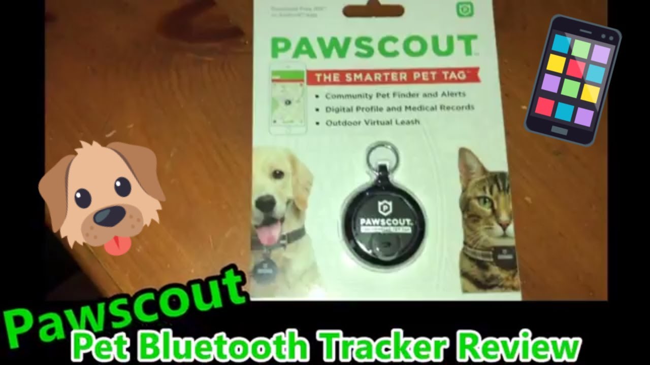 Pawscout: Pet Bluetooth Tracker Review - Pet Product Reviews VOL. 5