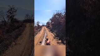 Лучшие моменты охоты на кабана | Идеальный выстрел #охота #hunting #весенняяохота #загоннаяохота