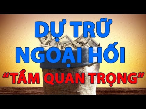 Video Tầm quan trọng của việc dự trữ ngoại hối đối với kinh... - youtube
