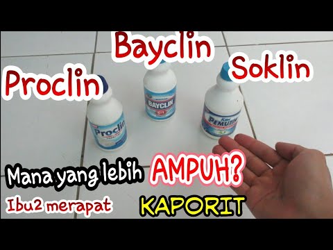 Video: Apakah pemutih akan menodai aspal?