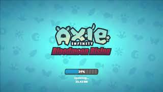 How to install MAVIS HUB for AXIE INFINITY in your computer using windows 10 screenshot 3