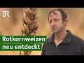 Alte Getreidesorte: Ernte von Urgetreide Rotkornweizen | Weizen | Getreideernte | Unser Land | BR