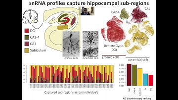 Manolis Kellis NatureReviewsGenetics Variants2Function EpigenomeDisease