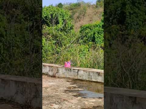 colourfull #youtubeshort #shorts #viral #villagelife